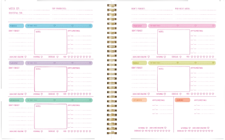 Don't Ruin My Vibe non-dated planner