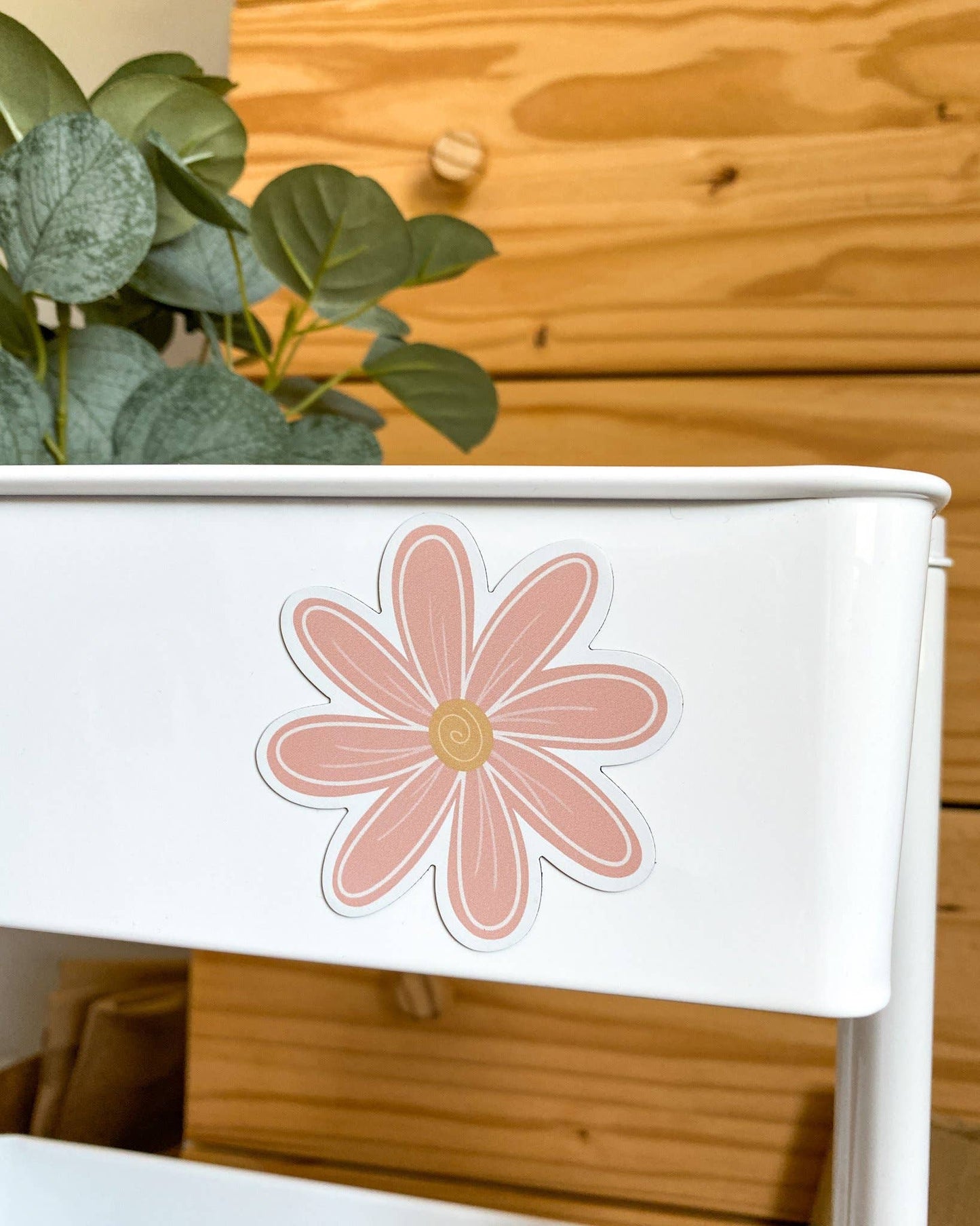 Pink Daisy Magnet
